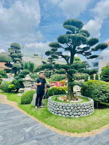 Thi công cảnh quan sân vườn, nhà ở